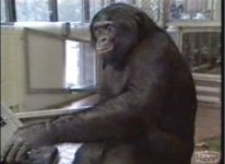 AFFE-AM-PC.jpg