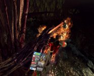 DAO-PCGames.jpg