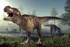 Tyrannosaurus_rex__1301503p.jpg Tyrannosaurus_rex__1301503p.jpg