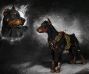 doberman_bombdog.jpg