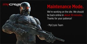 mycrysis.JPG