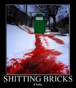 a.aaa-shittin-bricks-haha.jpg