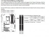 dualchannel.jpg