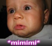 mimimi.jpg mimimi.jpg