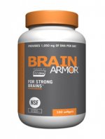 brain-armor.jpg