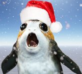 Porg_neu.jpg