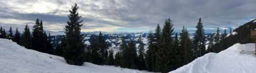 WinterPano.jpg