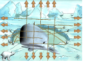 Unbenannt.png-Wall 2.png
