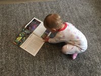 leser1.jpeg