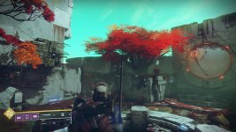 Destiny 2 Screenshot 2018.11.16 - 10.55.45.48.jpg