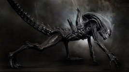 Alien-Xenomorph.jpg Alien-Xenomorph.jpg