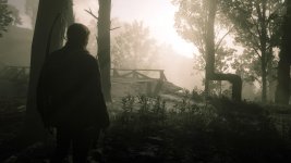 Red Dead Redemption 2_20181204192449.jpg