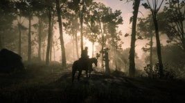 Red Dead Redemption 2_20181122212714.jpg