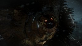 The Witcher 3 Screenshot 2017.05.10 - 18.50.03.22.jpg