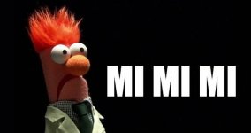 mimimi.jpg