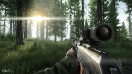 escape_from_tarkov_the_forest_level_alpha_15_1515683983.jpg