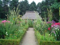 Bauerngarten-Hamburg-Botanischer-Garten.jpg