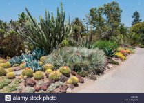 california-san-marino-the-huntington-botanical-gardens-desert-garden-E94Y5E.jpg