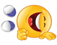 rofl-smiley.png