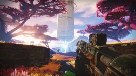 tiger_release_final_20190827_160949.jpg