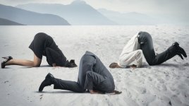 xleseforum-vogel-strauss-taktik-oder-verantwortungsuebernahme-1000x684-950x533.jpg.pagespeed.ic..jpg xleseforum-vogel-strauss-taktik-oder-verantwortungsuebernahme-1000x684-950x533.jpg.pagespeed.ic..jpg