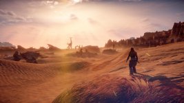 Horizon Zero Dawn™_ Complete Edition_20191217111412.jpg