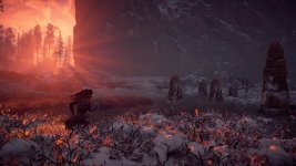 Horizon Zero Dawn™_ Complete Edition_20191121164226.jpg
