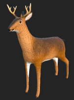 aaa.png