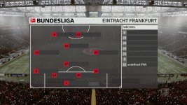 FIFA Fehler.jpg