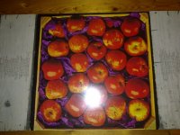 20092020330.jpg