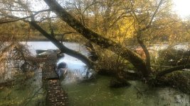 05927B79-C4A8-49B0-8FEA-A07426A4B613.jpeg