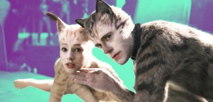 cats.jpg