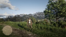 Red Dead Redemption 2 Screenshot 2021.01.31 - 11.50.38.90.jpg