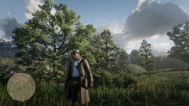 Red Dead Redemption 2 Screenshot 2021.01.31 - 11.50.19.28.jpg