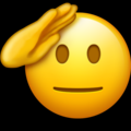 1621017069400.png