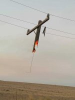 BurntPole.jpg