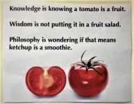 Ketchup_Philosophy.jpg