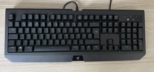 IMG_0689.JPEG