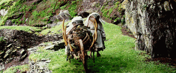 Fishnun_bonecart1.gif