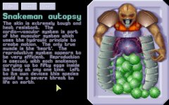ufoauto.jpg