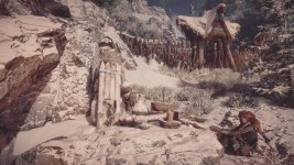 HZD 1.jpg