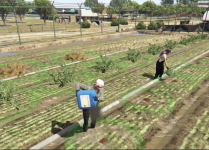Screenshot_1.png