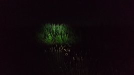 IMG_20220719_232214.jpg