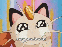 awwww.gif