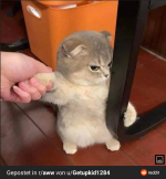 RDT_20230119_1647543885573990354259637.png
