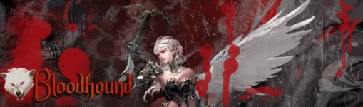 BloodHoundBanner Kopie.jpg