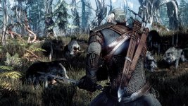 witcher3_A_single_wolf_might_not_be_a_problem-but_Geralt_needs_to_be_on_top_of_his_game_when_he_.jpg
