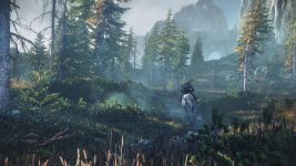 witcher3_Riding_horseback-Geralt_can_admire_the_beautiful_vistas_of_the_morning_sun_shining_down.jpg