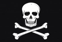 skull-and-crossbones-flag-history-118.jpg