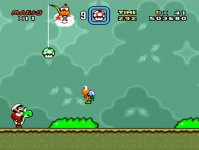 smw.jpg